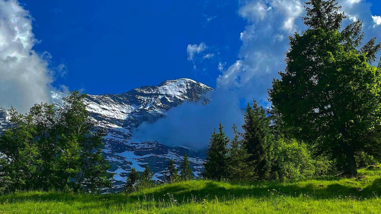 Romantisches Plaetzchen In Der Natur Grindelwald Kültér fotó
