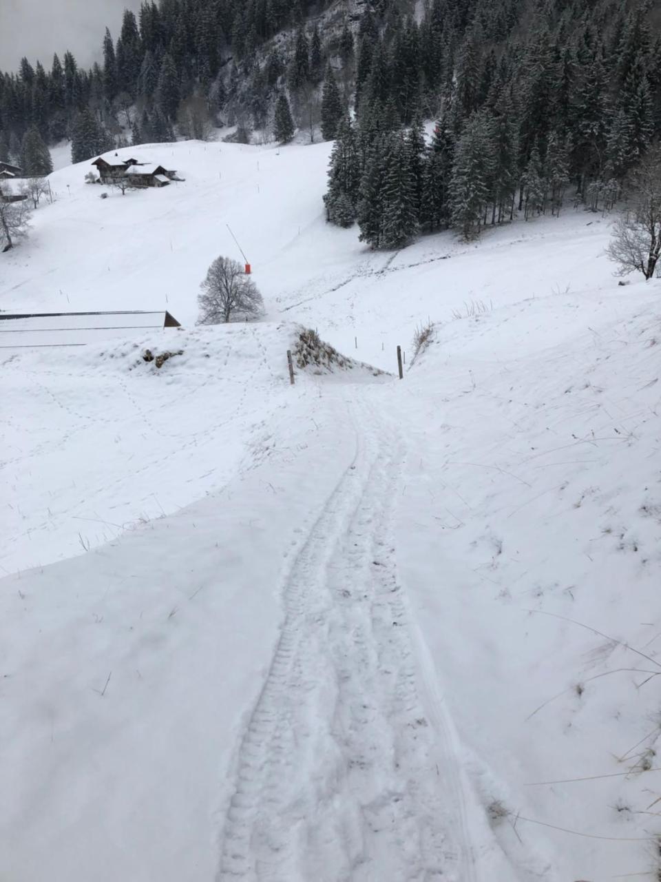 Romantisches Plaetzchen In Der Natur Grindelwald Kültér fotó