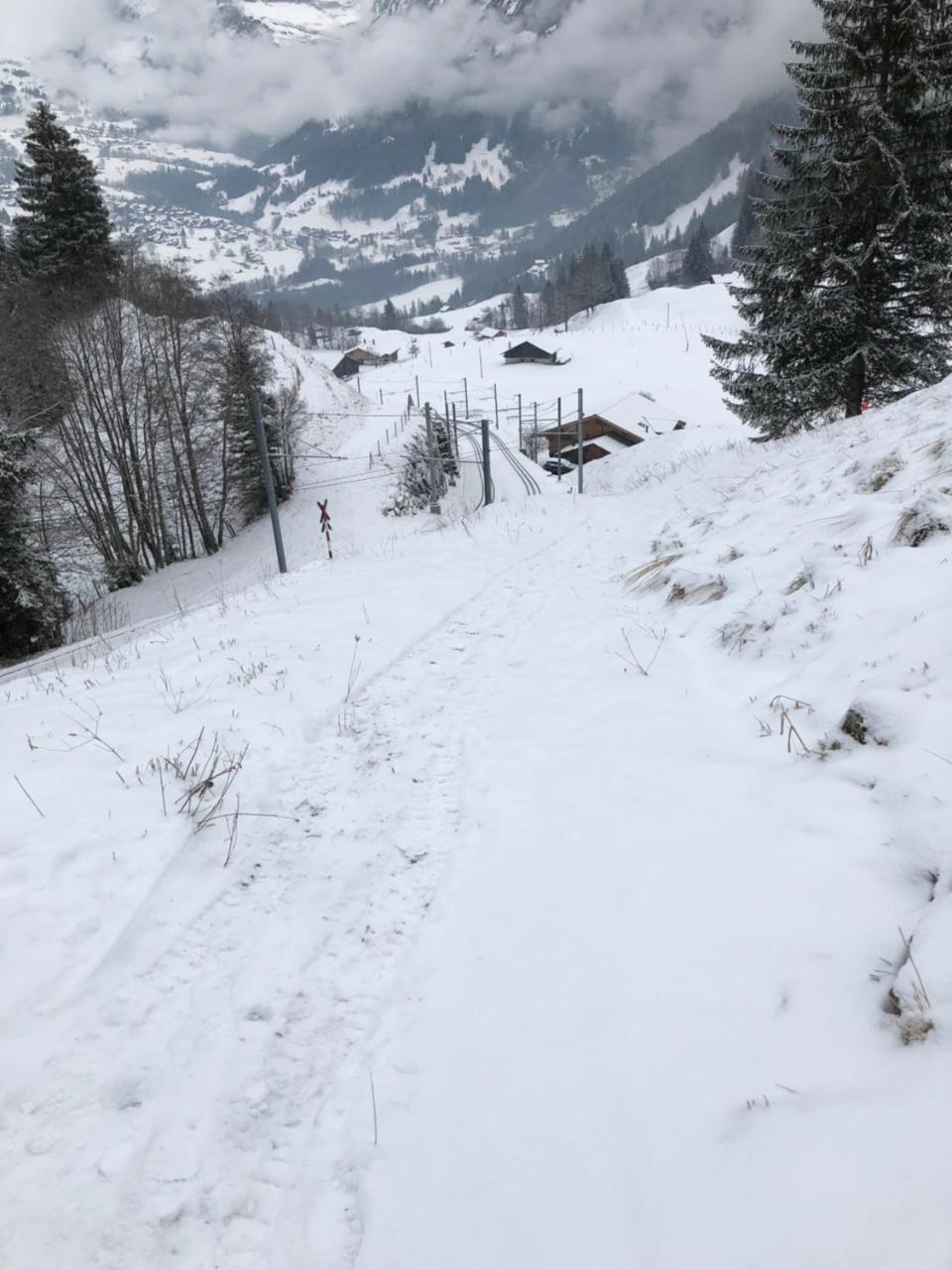 Romantisches Plaetzchen In Der Natur Grindelwald Kültér fotó