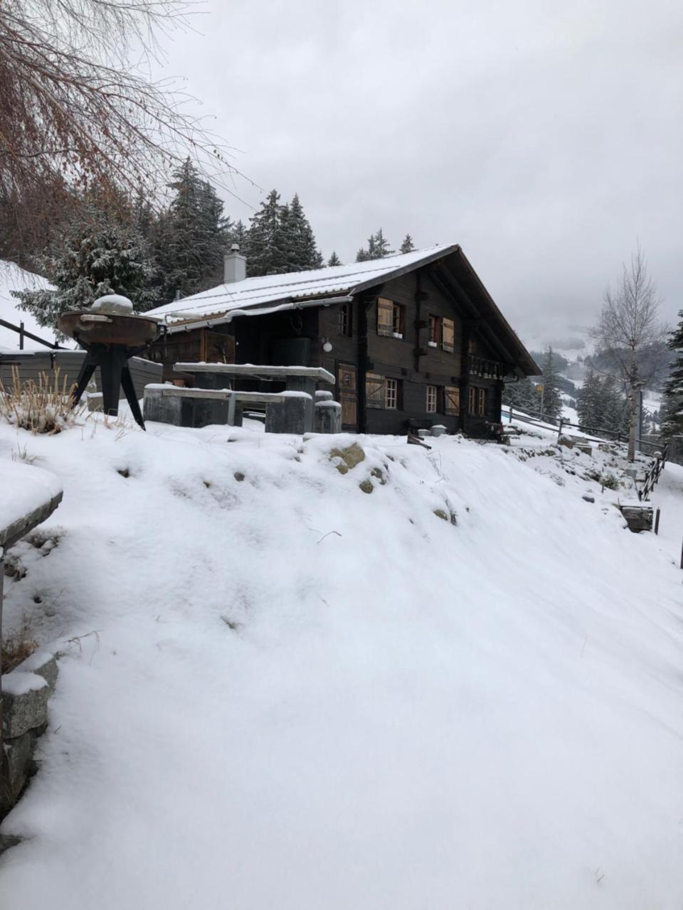 Romantisches Plaetzchen In Der Natur Grindelwald Kültér fotó