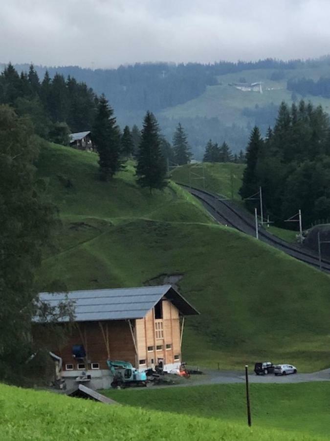 Romantisches Plaetzchen In Der Natur Grindelwald Kültér fotó
